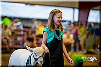 LCFair2016-7459.jpg