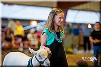 LCFair2016-7460.jpg