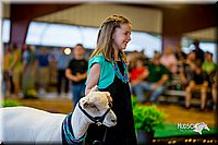LCFair2016-7461.jpg