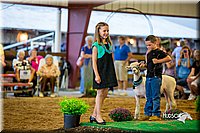 LCFair2016-7462.jpg