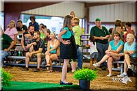 LCFair2016-7467.jpg