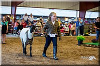 LCFair2016-7468.jpg