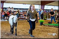 LCFair2016-7469.jpg