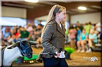 LCFair2016-7470.jpg