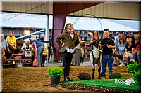 LCFair2016-7471.jpg