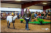 LCFair2016-7473.jpg