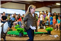LCFair2016-7474.jpg