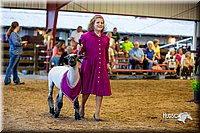 LCFair2016-7484.jpg