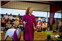 LCFair2016-7485.jpg