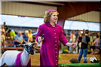 LCFair2016-7486.jpg