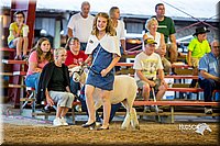 LCFair2016-7490.jpg