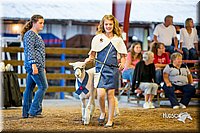 LCFair2016-7491.jpg