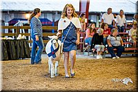 LCFair2016-7492.jpg