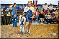 LCFair2016-7493.jpg