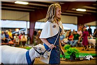 LCFair2016-7495.jpg