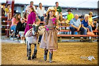 LCFair2016-7496.jpg