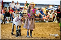 LCFair2016-7497.jpg