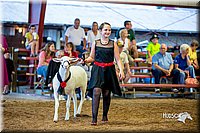 LCFair2016-7500.jpg