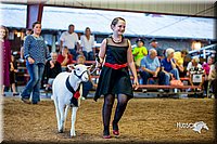 LCFair2016-7501.jpg