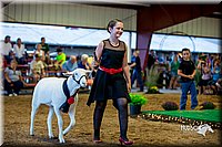 LCFair2016-7502.jpg
