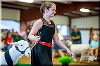 LCFair2016-7503.jpg