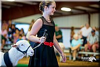 LCFair2016-7504.jpg