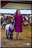 LCFair2016-7505.jpg