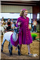 LCFair2016-7506.jpg