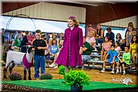 LCFair2016-7507.jpg