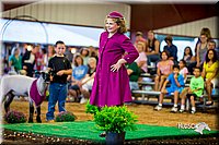 LCFair2016-7509.jpg