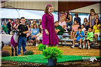 LCFair2016-7510.jpg