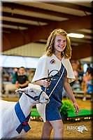 LCFair2016-7511.jpg