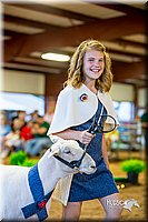 LCFair2016-7512.jpg