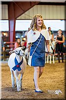 LCFair2016-7519.jpg