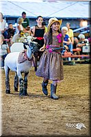LCFair2016-7521.jpg