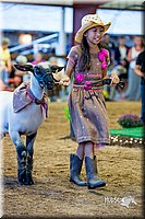 LCFair2016-7523.jpg
