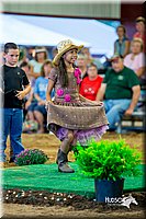 LCFair2016-7526.jpg