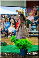 LCFair2016-7529.jpg