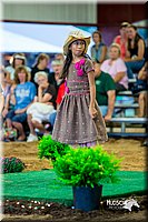 LCFair2016-7530.jpg