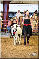 LCFair2016-7532.jpg