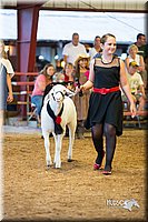 LCFair2016-7533.jpg
