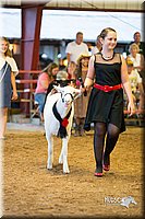 LCFair2016-7534.jpg