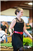 LCFair2016-7535.jpg