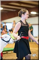 LCFair2016-7536.jpg