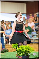 LCFair2016-7541.jpg