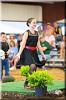 LCFair2016-7544.jpg