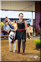 LCFair2016-7545.jpg