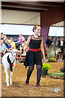 LCFair2016-7546.jpg