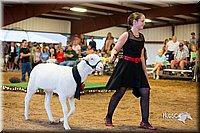 LCFair2016-7547.jpg