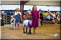 LCFair2016-7548.jpg